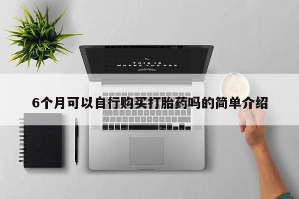 哪里有私人医院卖打胎药6个月可以自行购买打胎药吗的简单介绍